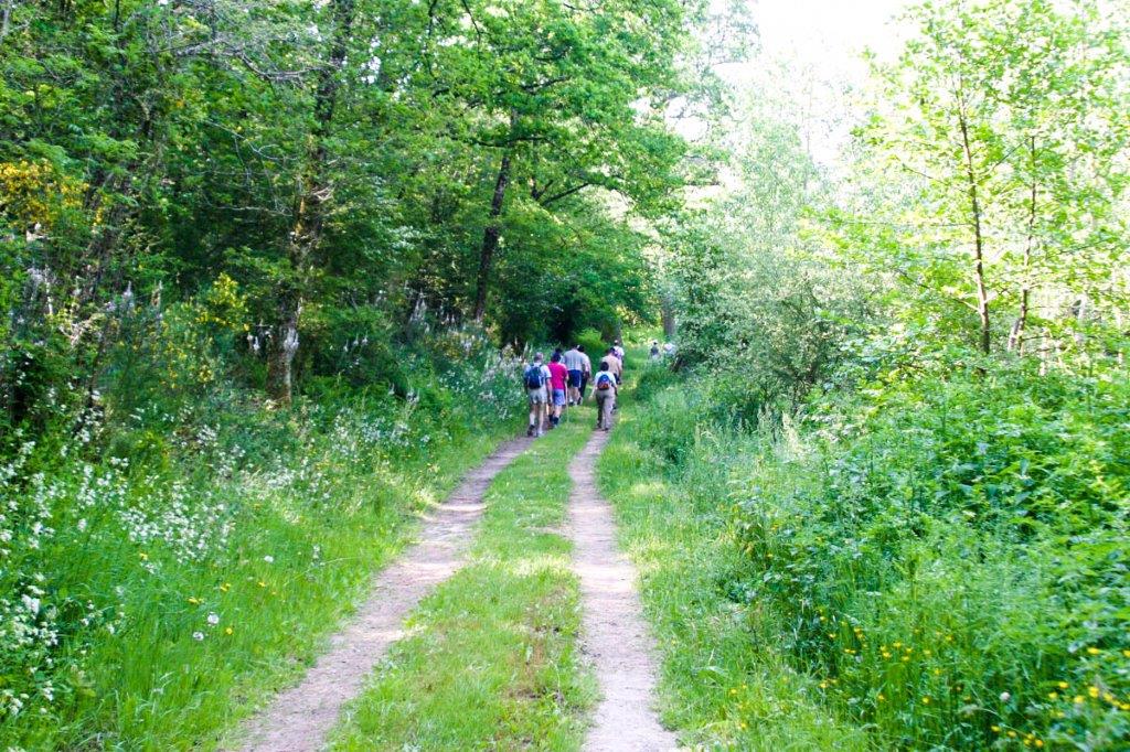 Camping au coeur de la nature en Vendée