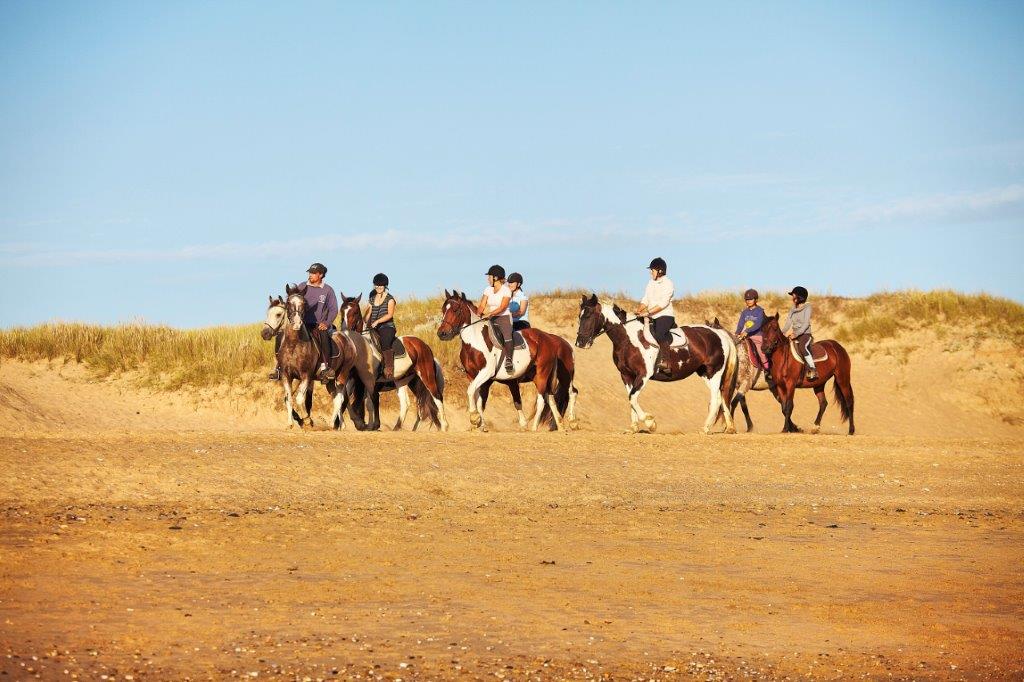plage de saint gilles croix de vie proche du camping